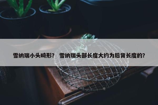 雪纳瑞小头畸形？ 雪纳瑞头部长度大约为后背长度的？