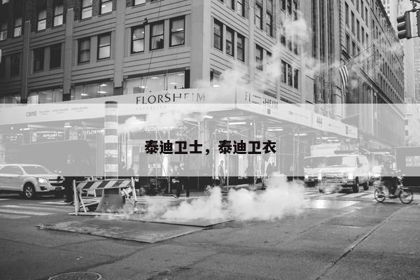 泰迪卫士，泰迪卫衣