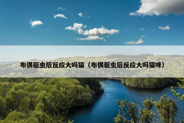 布偶驱虫后反应大吗猫（布偶驱虫后反应大吗猫咪）