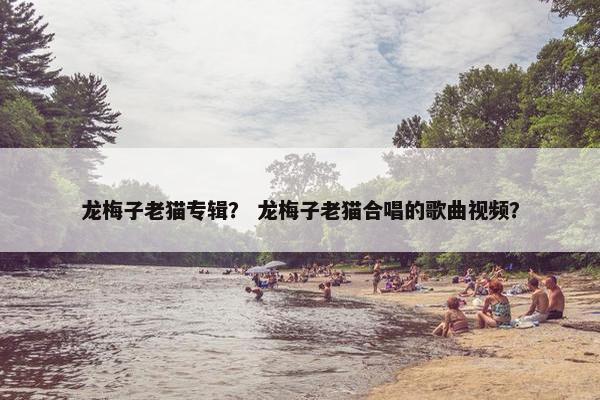 龙梅子老猫专辑？ 龙梅子老猫合唱的歌曲视频？