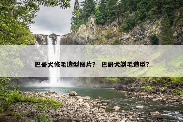 巴哥犬修毛造型图片？ 巴哥犬剃毛造型？