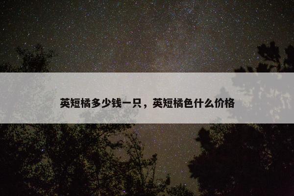 英短橘多少钱一只，英短橘色什么价格
