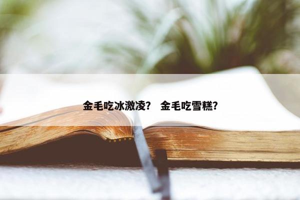 金毛吃冰激凌？ 金毛吃雪糕？