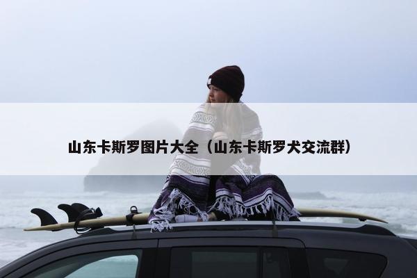 山东卡斯罗图片大全（山东卡斯罗犬交流群）