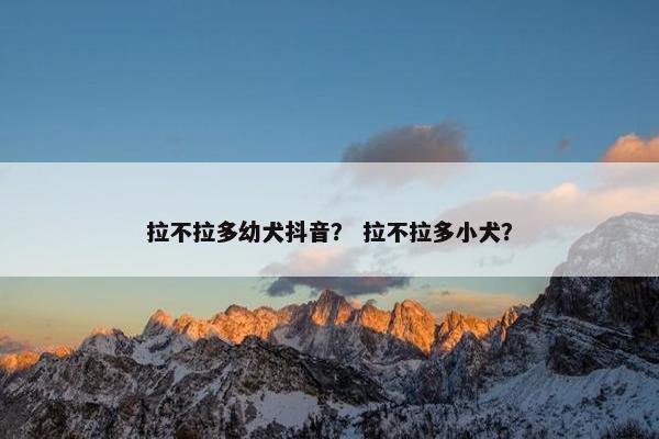 拉不拉多幼犬抖音？ 拉不拉多小犬？