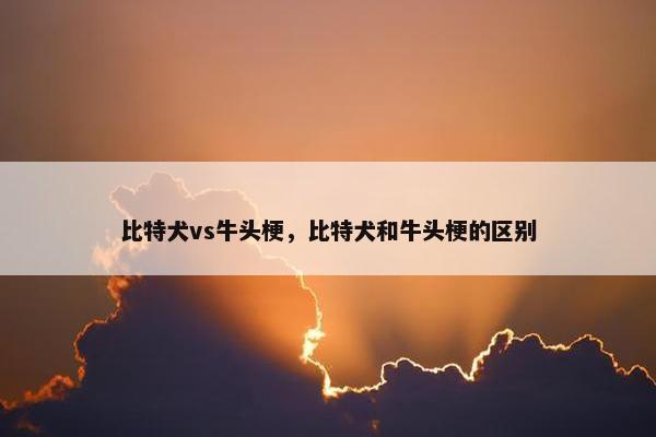 比特犬vs牛头梗，比特犬和牛头梗的区别