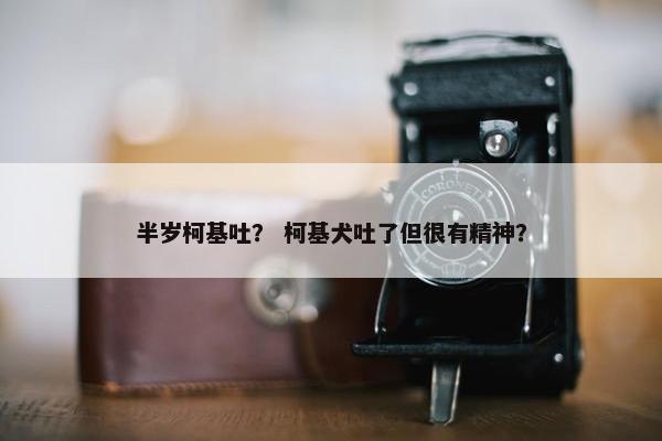 半岁柯基吐？ 柯基犬吐了但很有精神？