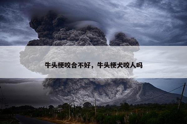 牛头梗咬合不好，牛头梗犬咬人吗
