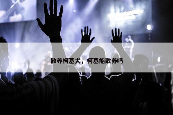 散养柯基犬，柯基能散养吗