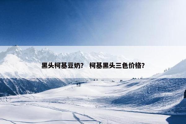黑头柯基豆奶？ 柯基黑头三色价格？
