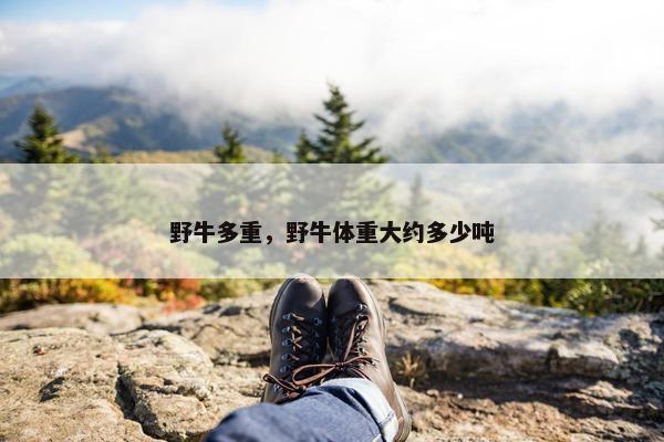 野牛多重，野牛体重大约多少吨