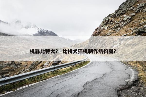 机器比特犬？ 比特犬猫机制作结构图？