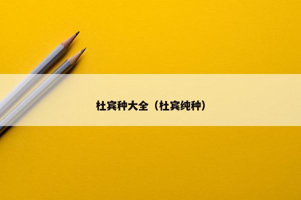 杜宾种大全（杜宾纯种）