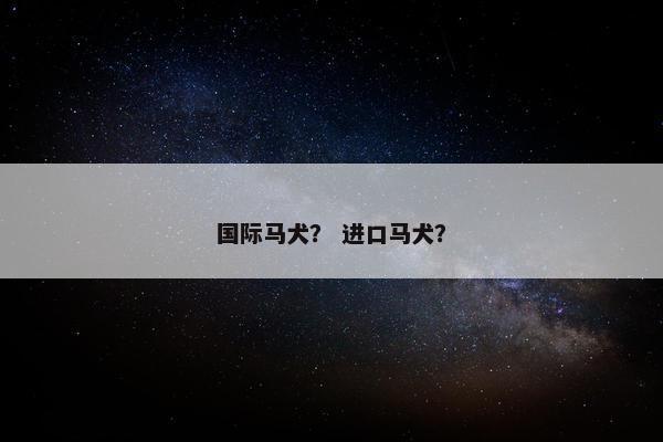 国际马犬？ 进口马犬？