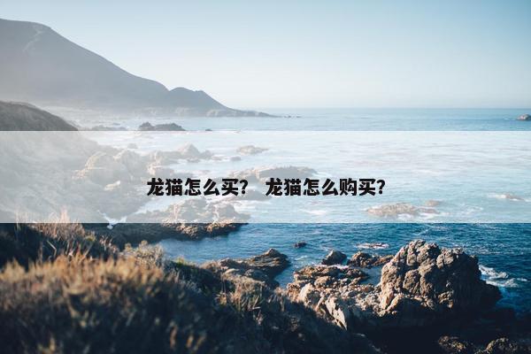 龙猫怎么买？ 龙猫怎么购买？