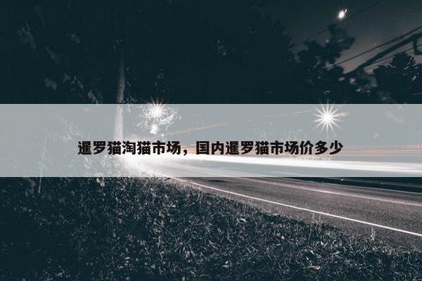 暹罗猫淘猫市场，国内暹罗猫市场价多少