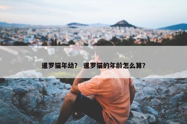 暹罗猫年幼？ 暹罗猫的年龄怎么算？