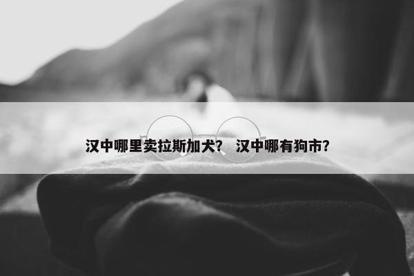汉中哪里卖拉斯加犬？ 汉中哪有狗市？