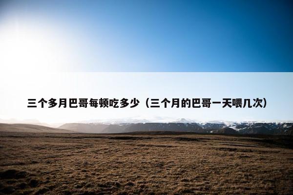 三个多月巴哥每顿吃多少（三个月的巴哥一天喂几次）