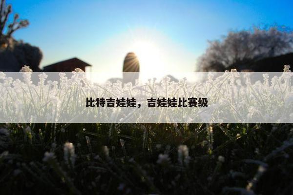 比特吉娃娃，吉娃娃比赛级
