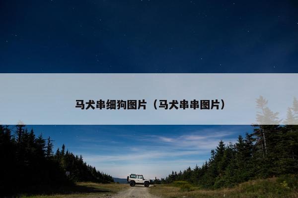 马犬串细狗图片（马犬串串图片）