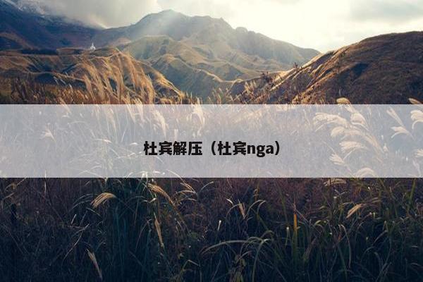杜宾解压（杜宾nga）