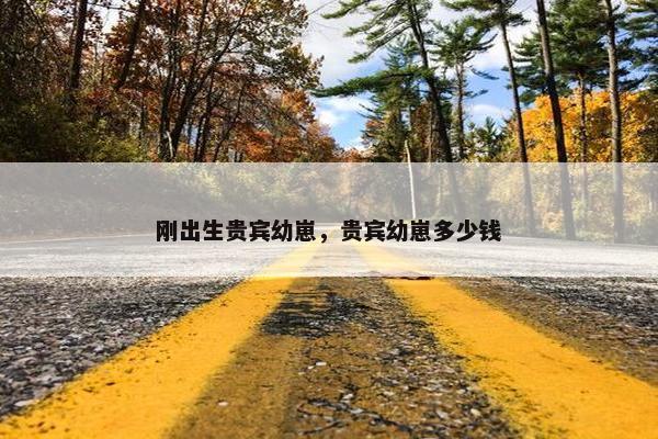 刚出生贵宾幼崽，贵宾幼崽多少钱