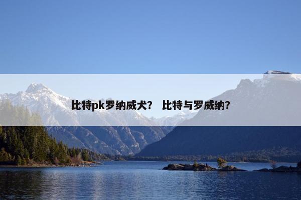 比特pk罗纳威犬？ 比特与罗威纳？