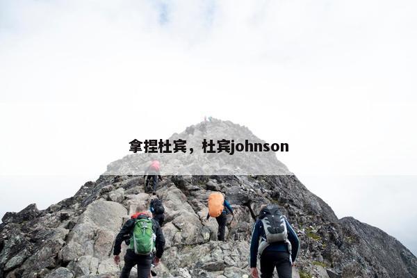 拿捏杜宾，杜宾johnson