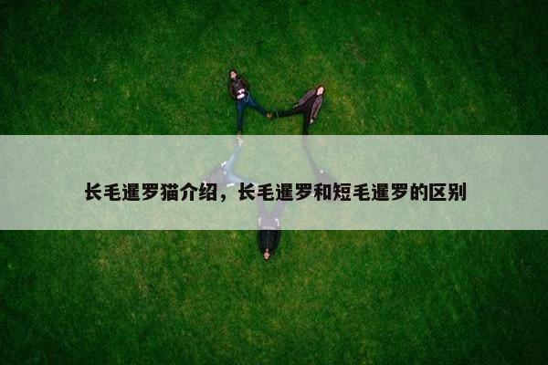 长毛暹罗猫介绍，长毛暹罗和短毛暹罗的区别
