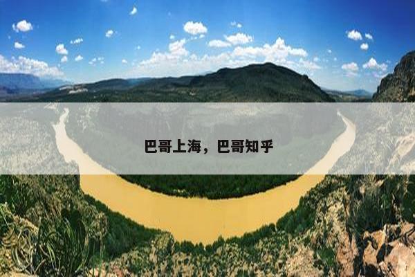 巴哥上海，巴哥知乎