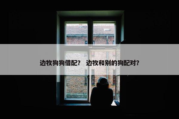 边牧狗狗借配？ 边牧和别的狗配对？