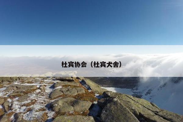 杜宾协会（杜宾犬舍）
