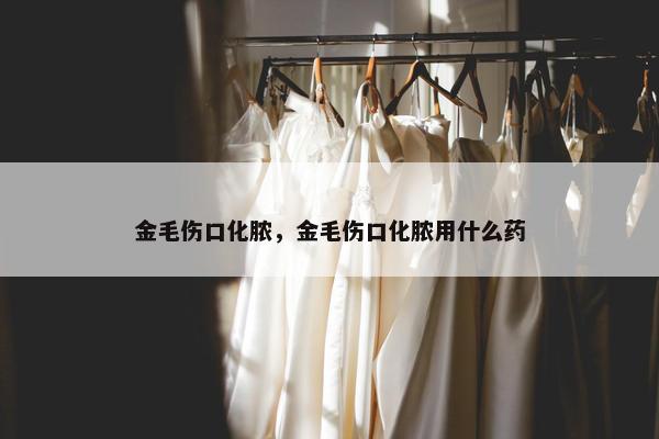 金毛伤口化脓，金毛伤口化脓用什么药