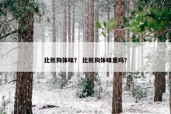 比熊狗体味？ 比熊狗体味重吗？