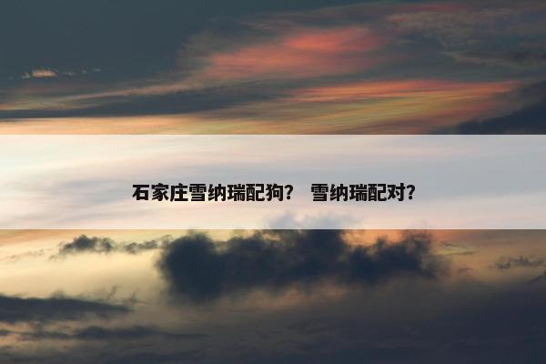 石家庄雪纳瑞配狗？ 雪纳瑞配对？