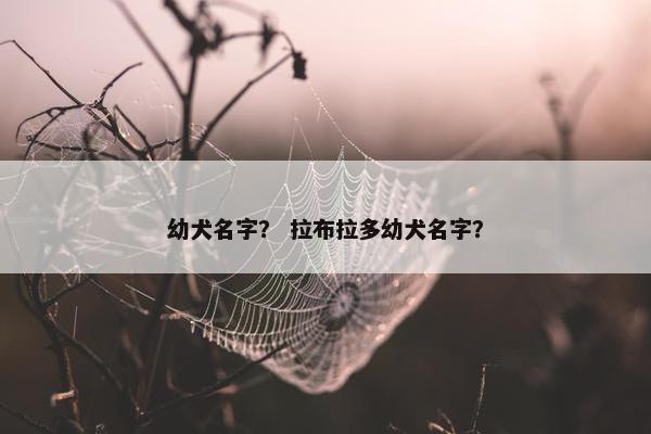 幼犬名字？ 拉布拉多幼犬名字？