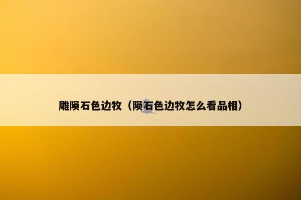 雕陨石色边牧（陨石色边牧怎么看品相）