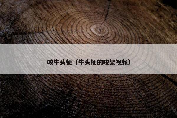 咬牛头梗（牛头梗的咬架视频）