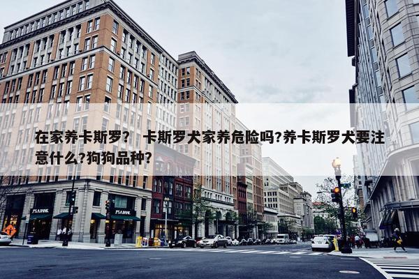 在家养卡斯罗？ 卡斯罗犬家养危险吗?养卡斯罗犬要注意什么?狗狗品种？