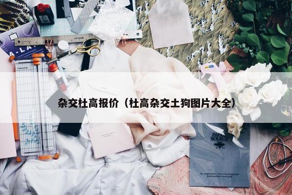 杂交杜高报价（杜高杂交土狗图片大全）