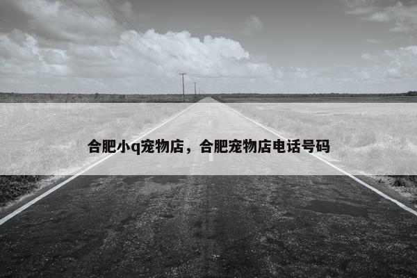 合肥小q宠物店，合肥宠物店电话号码