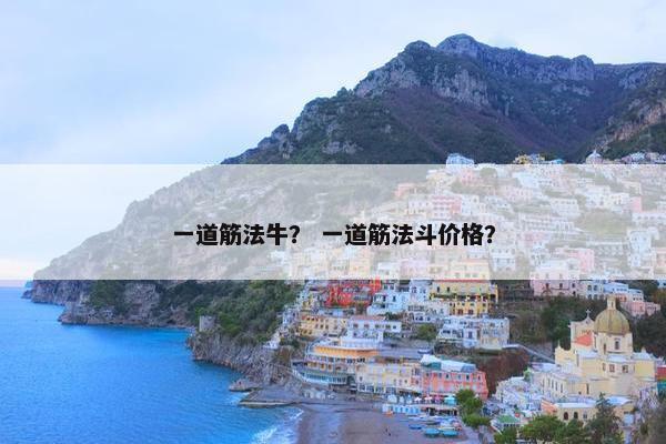 一道筋法牛？ 一道筋法斗价格？