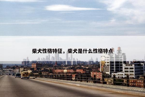 柴犬性格特征，柴犬是什么性格特点