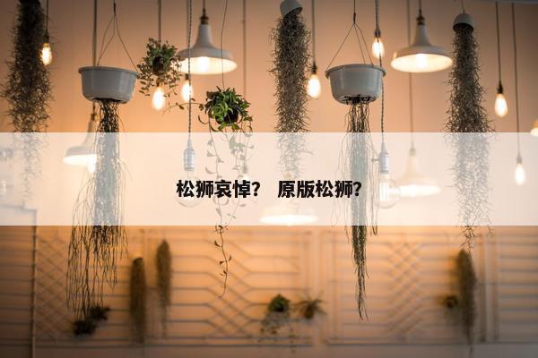 松狮哀悼？ 原版松狮？