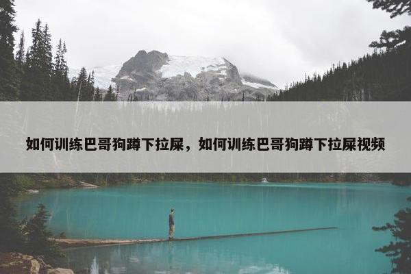 如何训练巴哥狗蹲下拉屎，如何训练巴哥狗蹲下拉屎视频