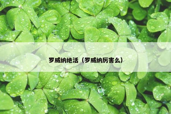 罗威纳绝活（罗威纳厉害么）