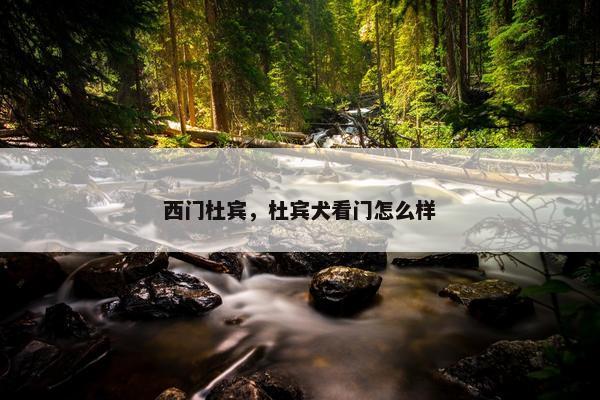 西门杜宾，杜宾犬看门怎么样