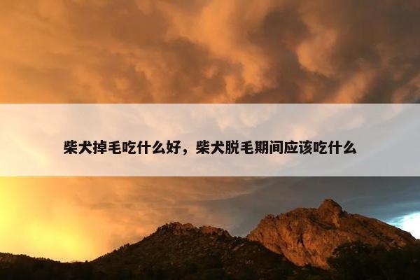 柴犬掉毛吃什么好，柴犬脱毛期间应该吃什么