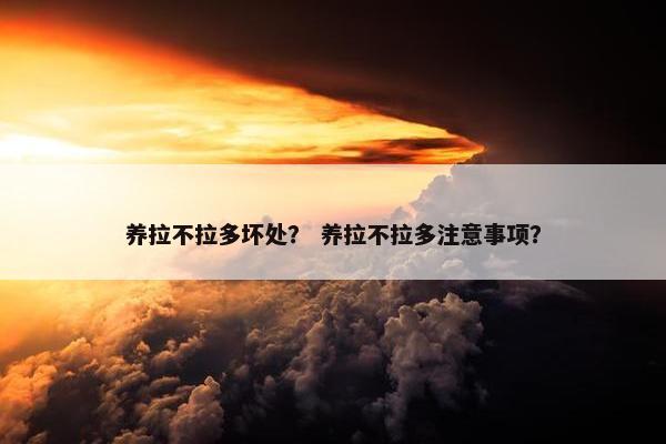 养拉不拉多坏处？ 养拉不拉多注意事项？